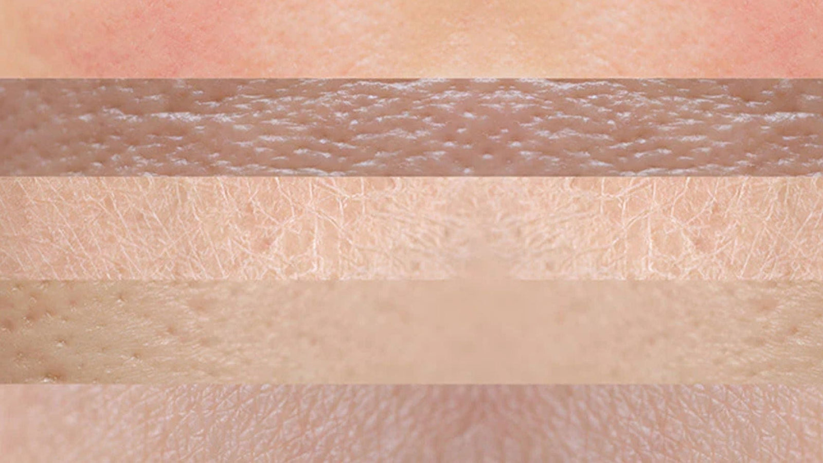 Understanding Men’s Skin Differences | SPF 50 Care